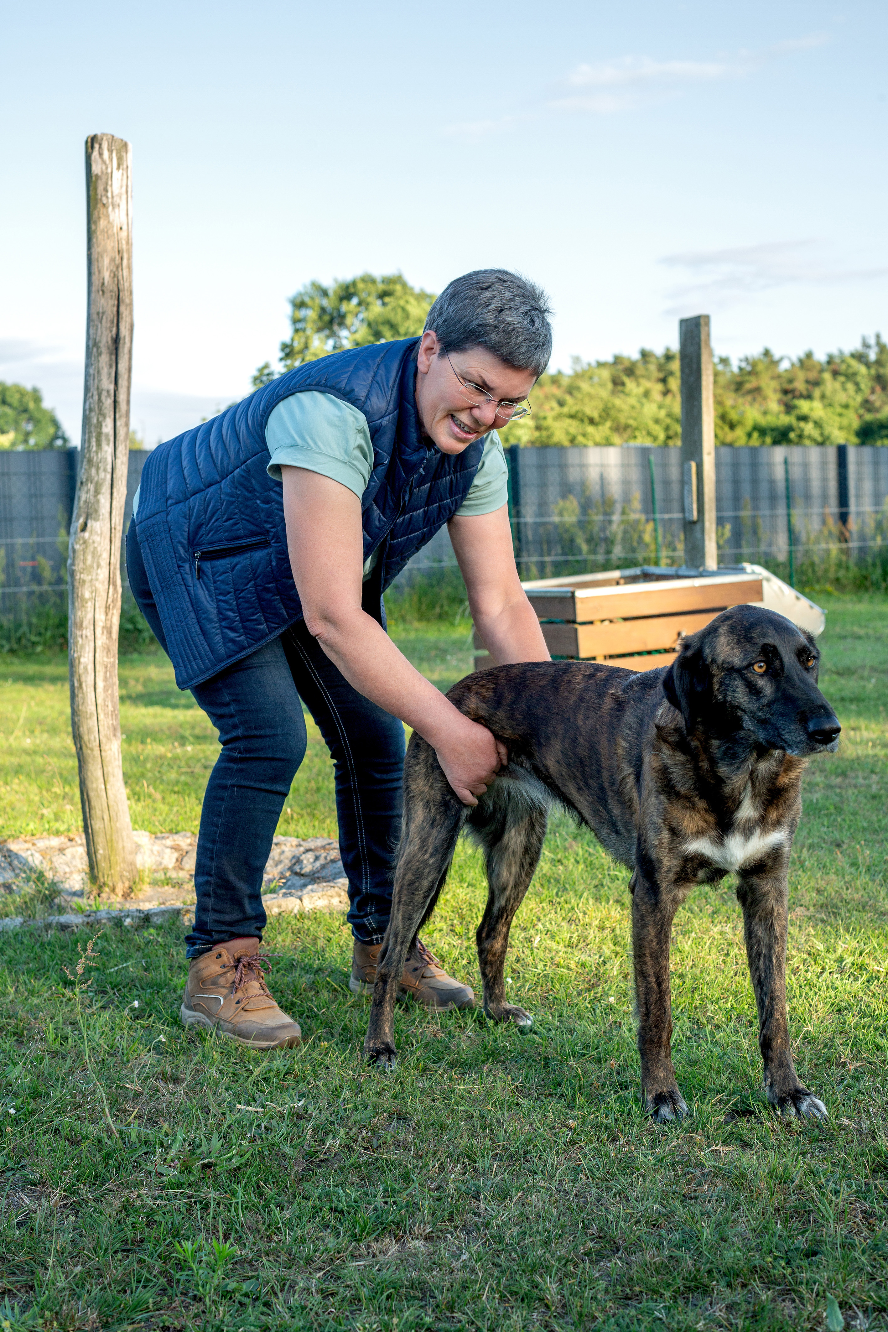 Puls nach TCM prüfen beim Hund